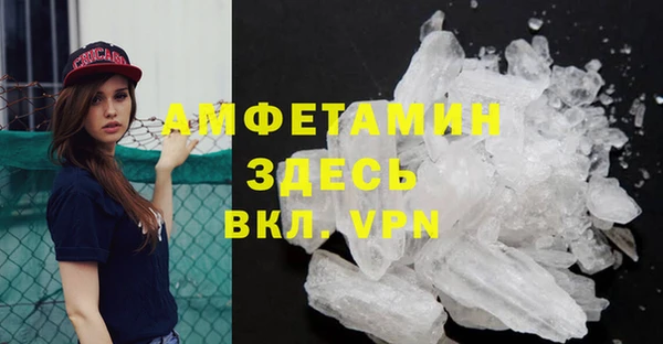 спайс Богданович