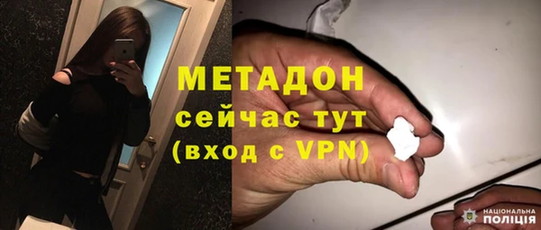 спайс Богданович