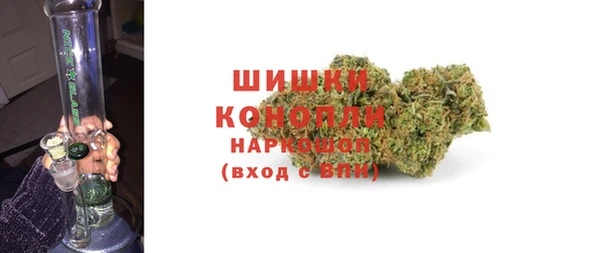 спайс Богданович