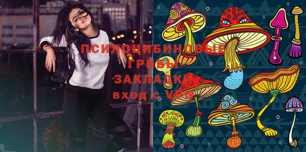 спайс Богданович