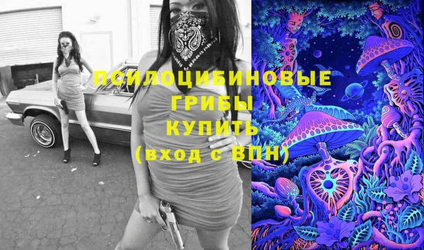 прущая мука Богородск