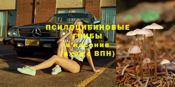 прущая мука Богородск