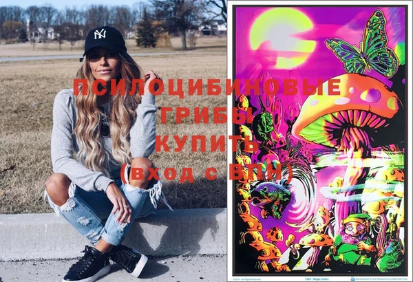спайс Богданович