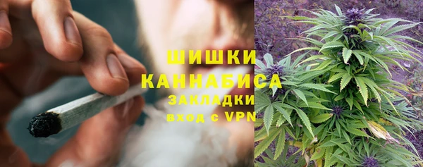 прущая мука Богородск