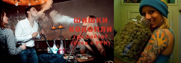 спайс Богданович