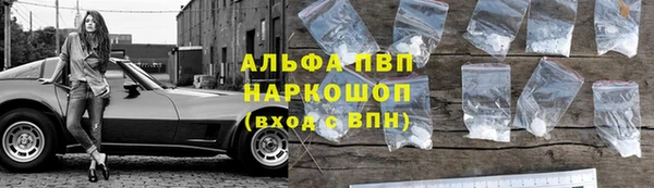 спайс Богданович